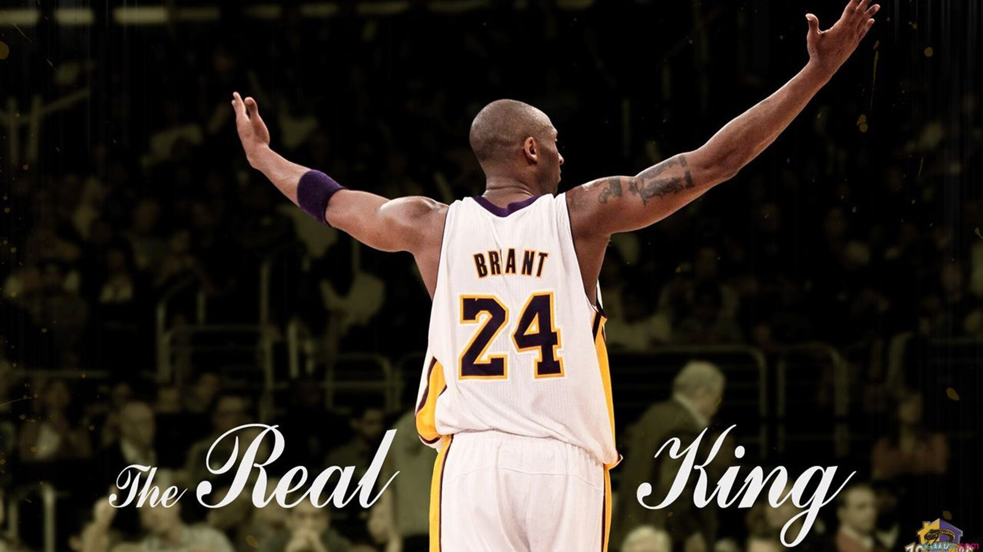 体育赛事观众人数创新高